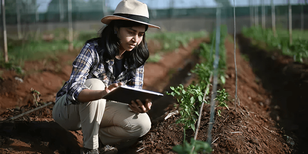 Collaboration in a meeting